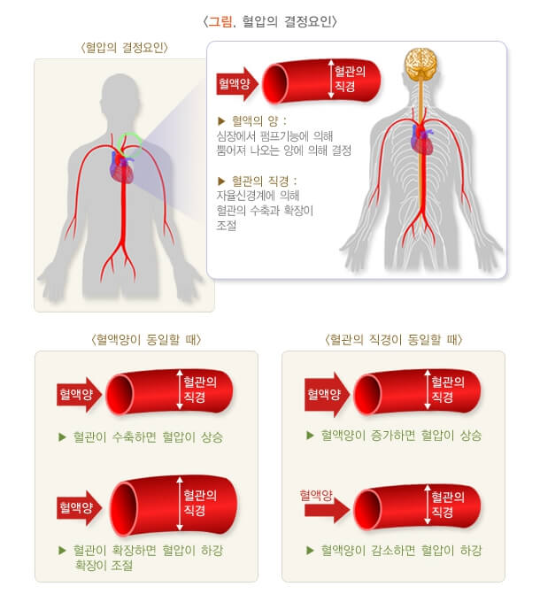 저혈압 기준표