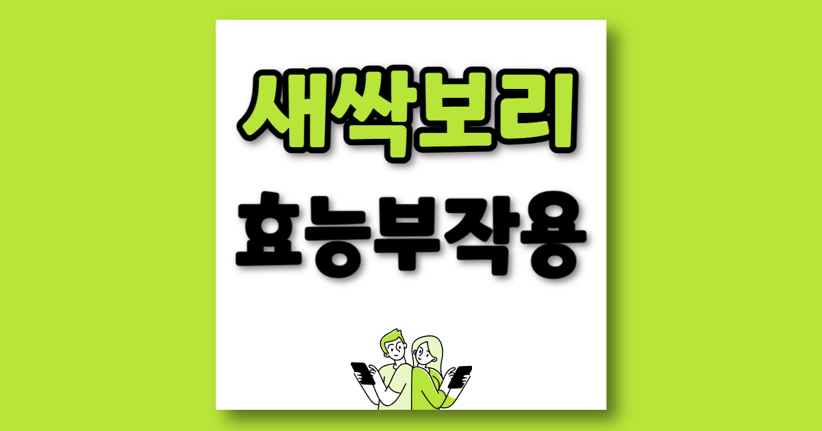 새싹보리